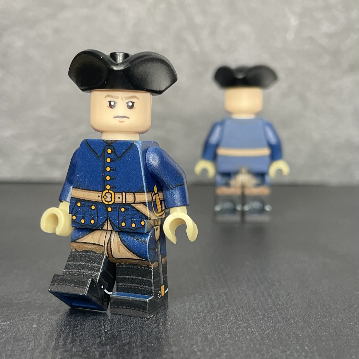 The Karl XII - Swedish King  (The Great Northern War)